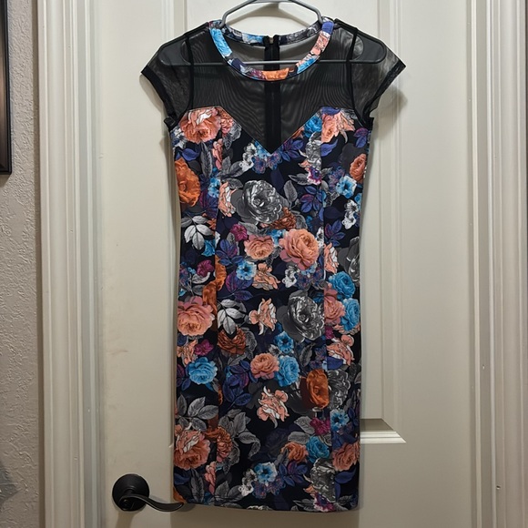 Floral & Mesh Dress size Small - Picture 1 of 6